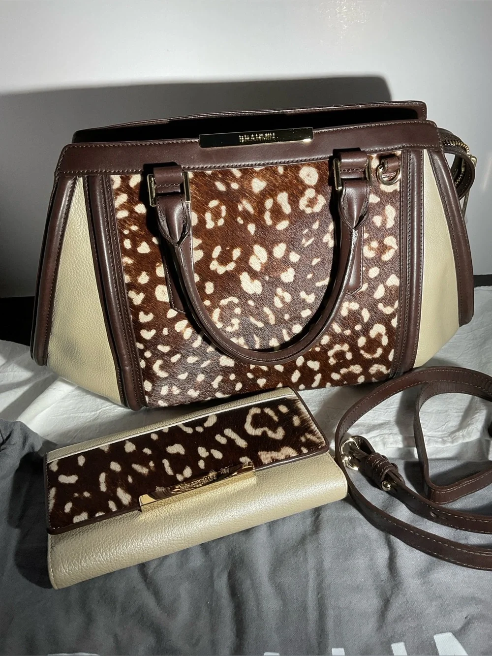 Brahmin Arden and checkbook wallet set